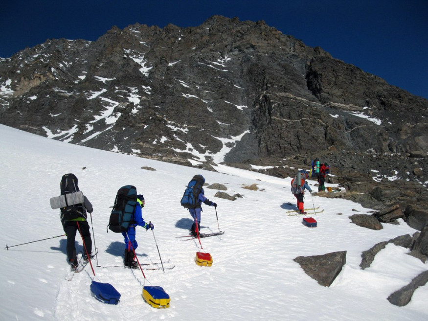 Сани-волокуши Гермо 65 л